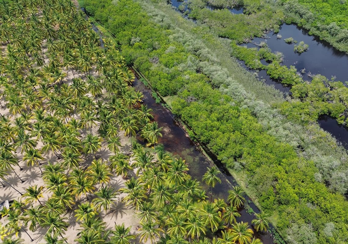 Limoncito Lot — San Blas, Nayarit