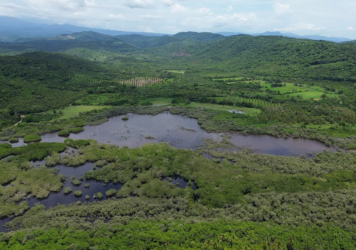 Limoncito Lot — San Blas, Nayarit