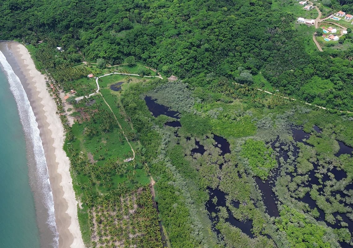 Limoncito Lot — San Blas, Nayarit