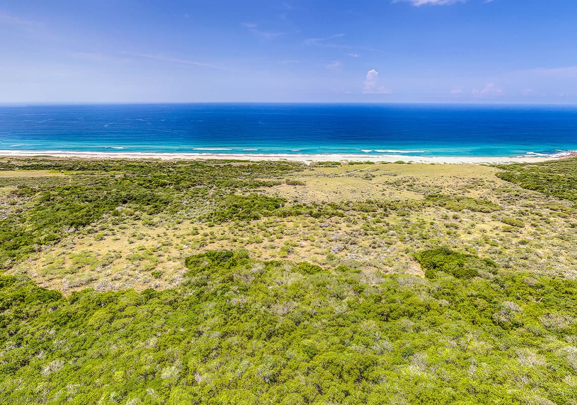 Punta Paraman — Costa Alegre, Jalisco