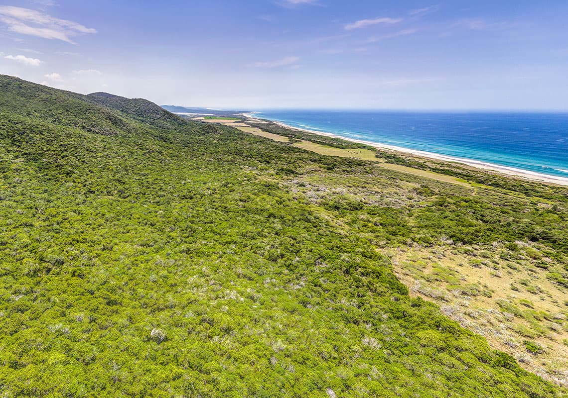 Punta Paraman — Costa Alegre, Jalisco
