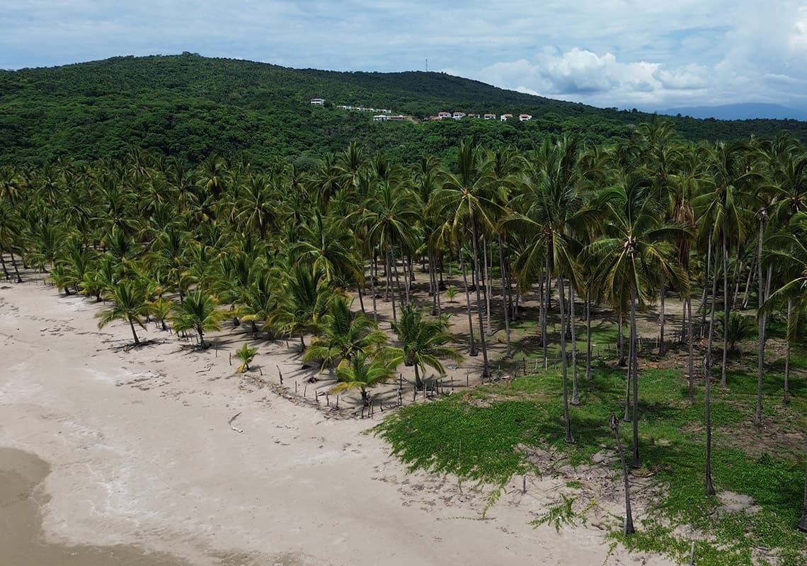 Limoncito Lot — San Blas, Nayarit