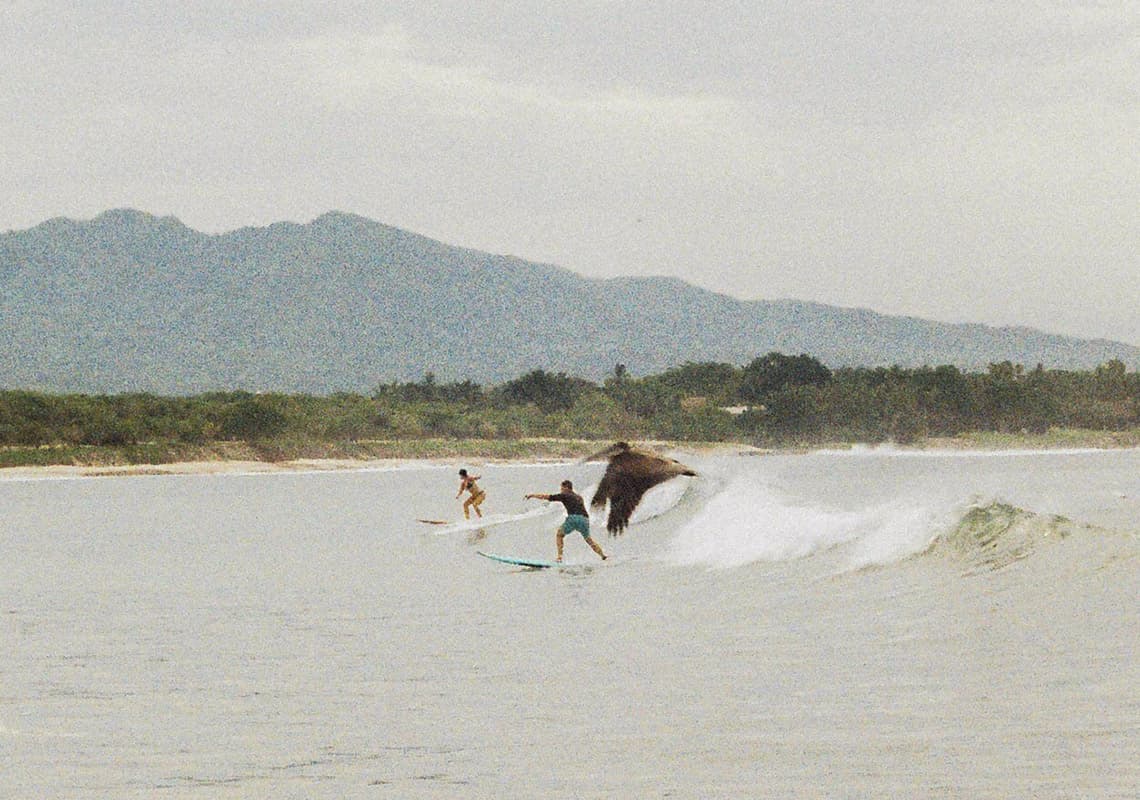Vaya Vaya — La Cruz de Huanacaxtle, Nayarit