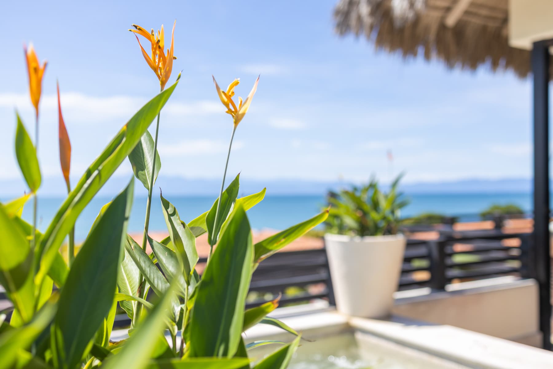 Spectacular corner villa at Porta Fortuna, Punta Mita | Private pool & jacuzzi