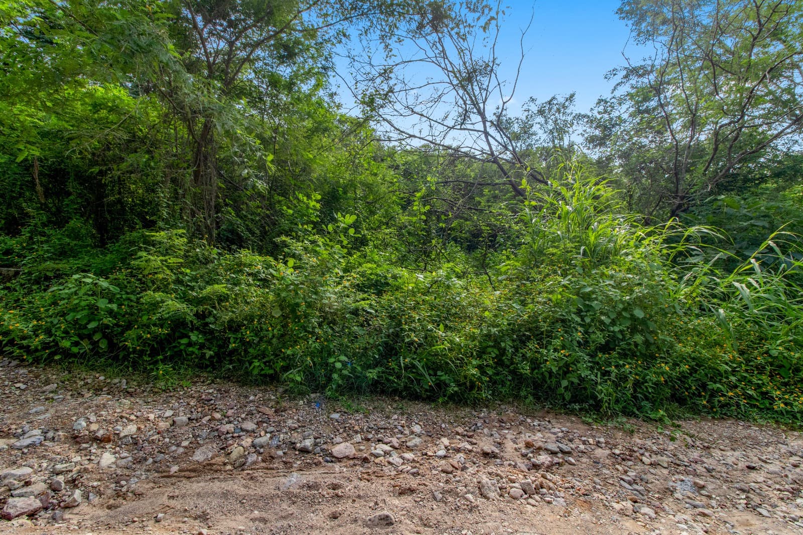 Terreno en Venta, col. Colinas de la Bahia, Puerto Vallarta