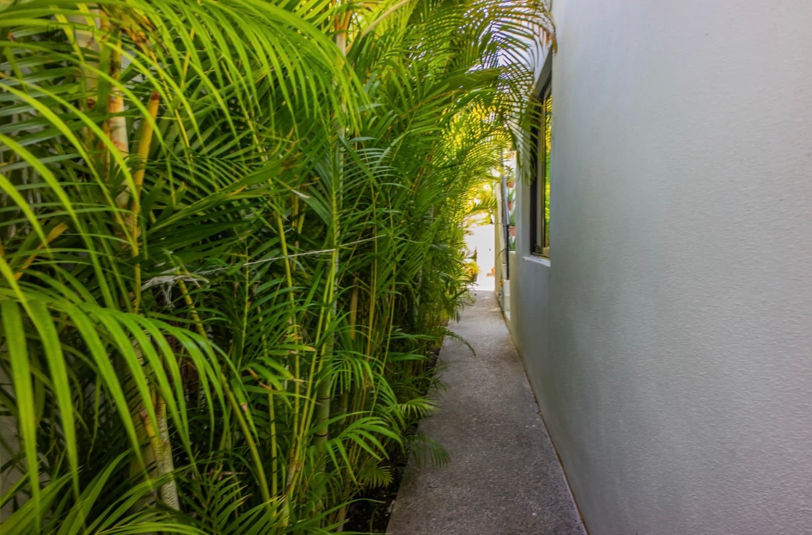 EXCLUSIVE SINGLE-LEVEL RESIDENCE | NUEVO VALLARTA