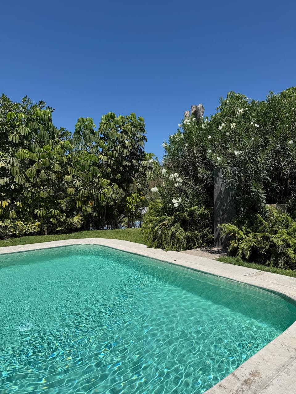 2 BDR condo Residencial Quelele